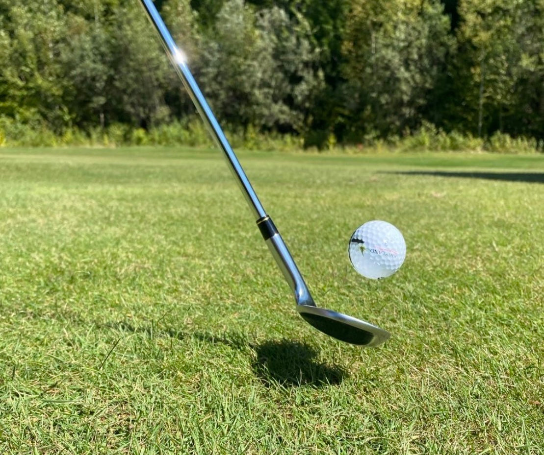 Newton Golf Wedge